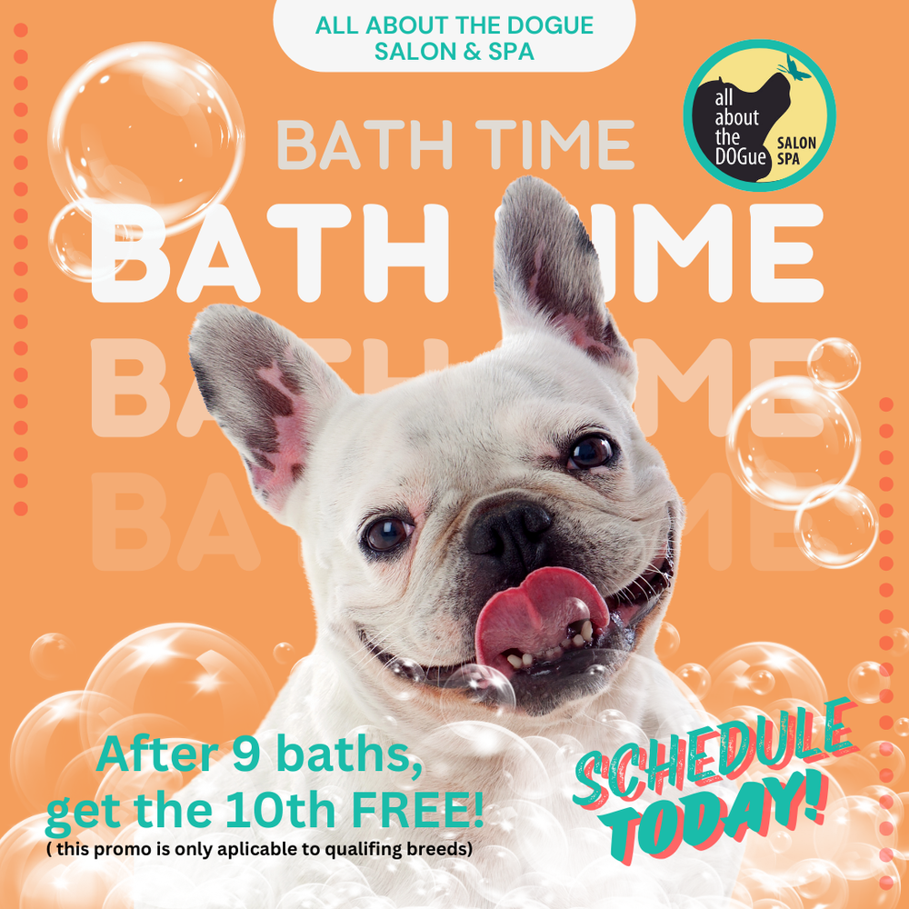 all about the DOGue salon & spa in Emeryville, CA (2)
