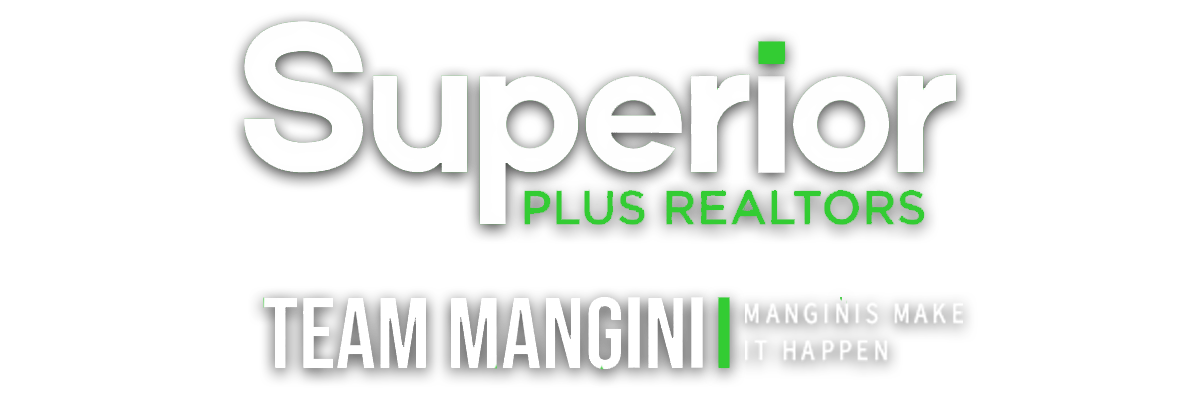 Ashleigh Mangini, Team Mangini Real Estate, LLC Superior Plus Realtors in Lima, OH (4)