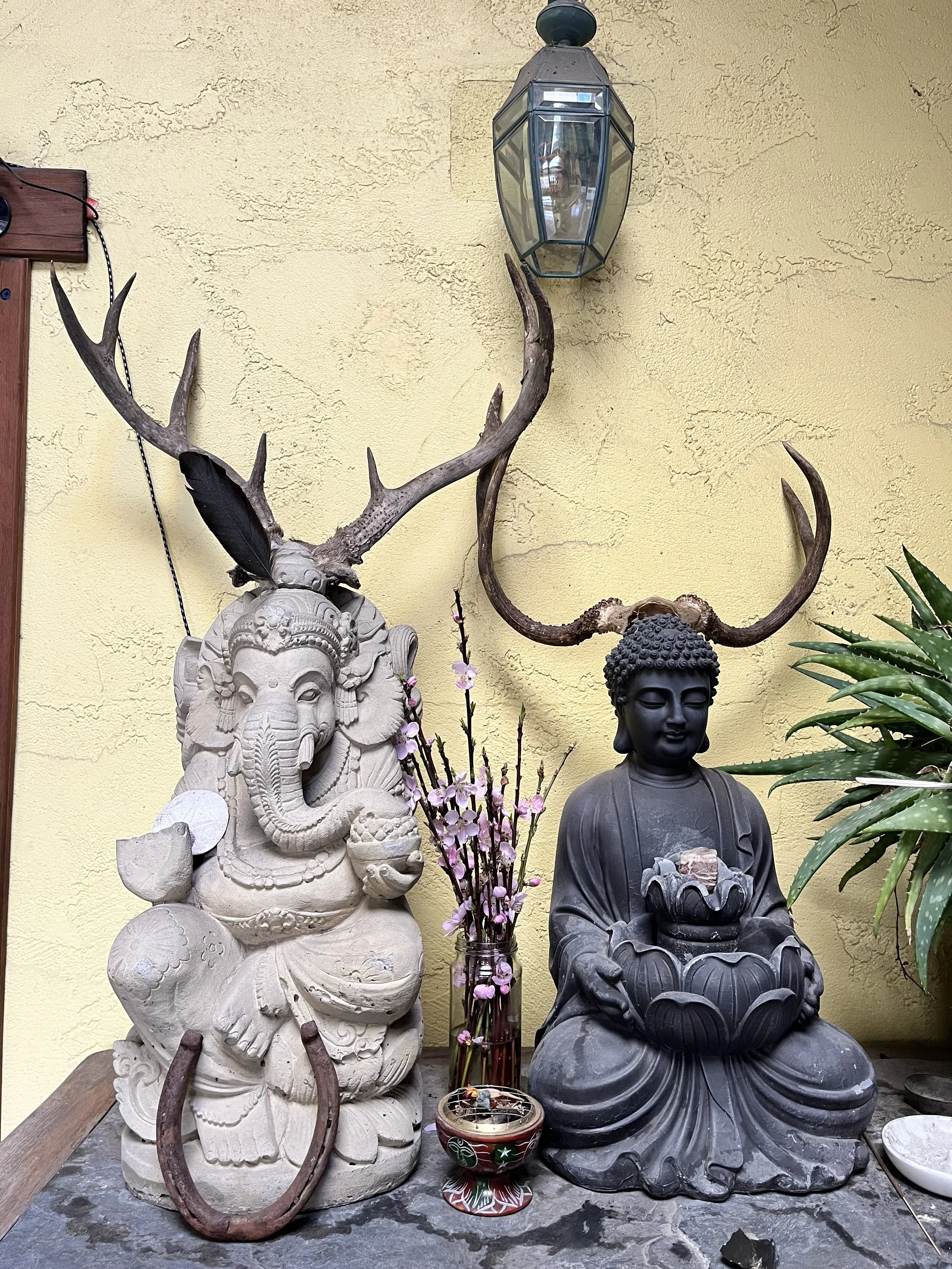 Namasté Café in Ukiah, CA (3)