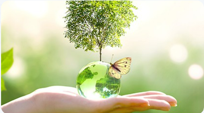 WILLCONNECT 365 LLC in Homestead, FL (5)