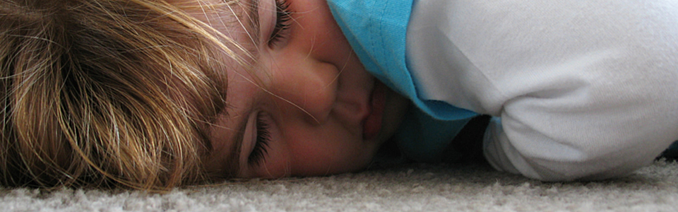 I V Lee Carpet Cleaning in Kernersville, NC (2)