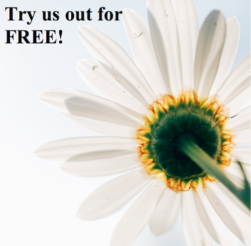 I V Lee Carpet Cleaning in Kernersville, NC (6)