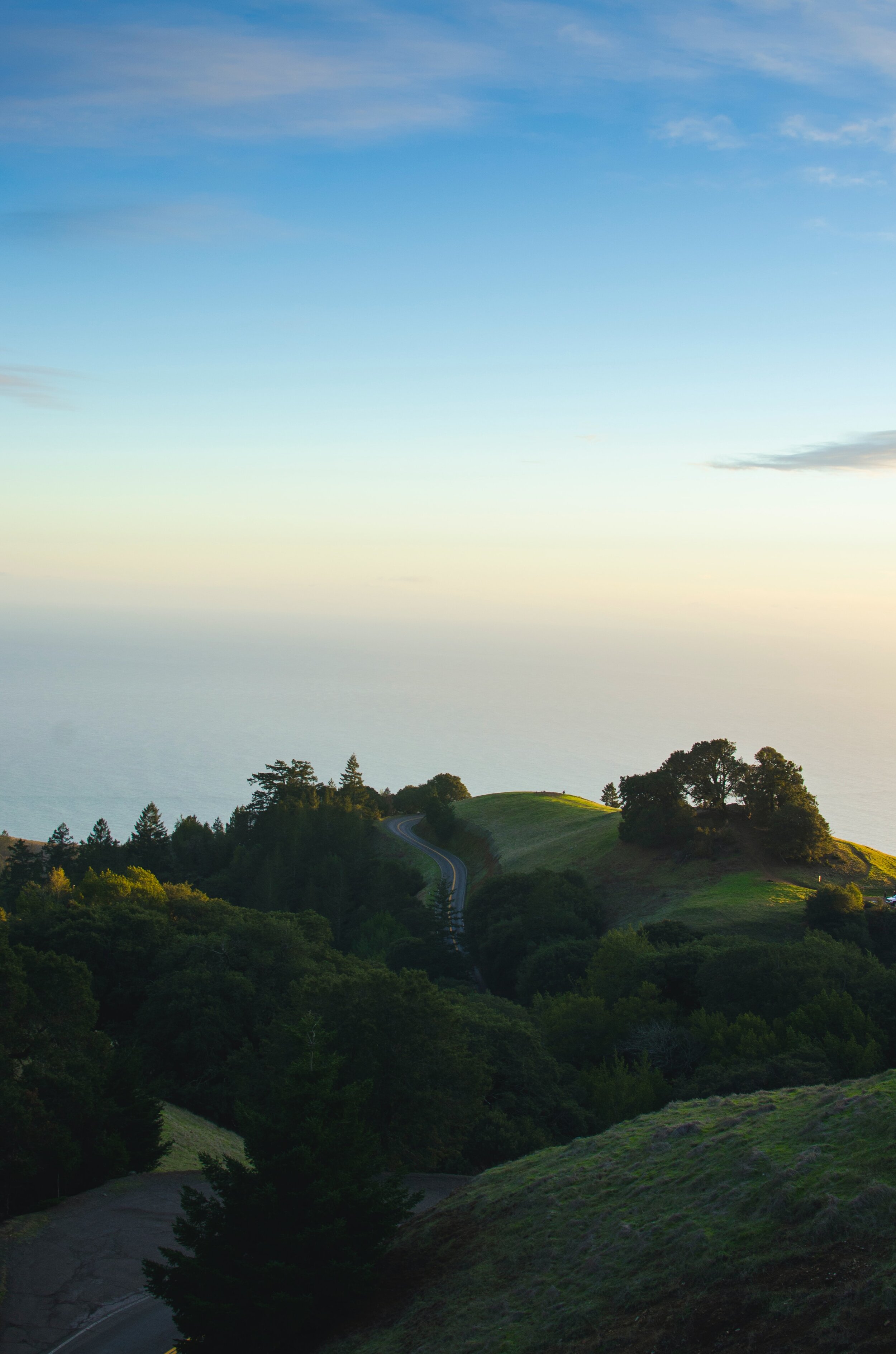 Brooke Halsey Law Office in Tiburon, CA (2)