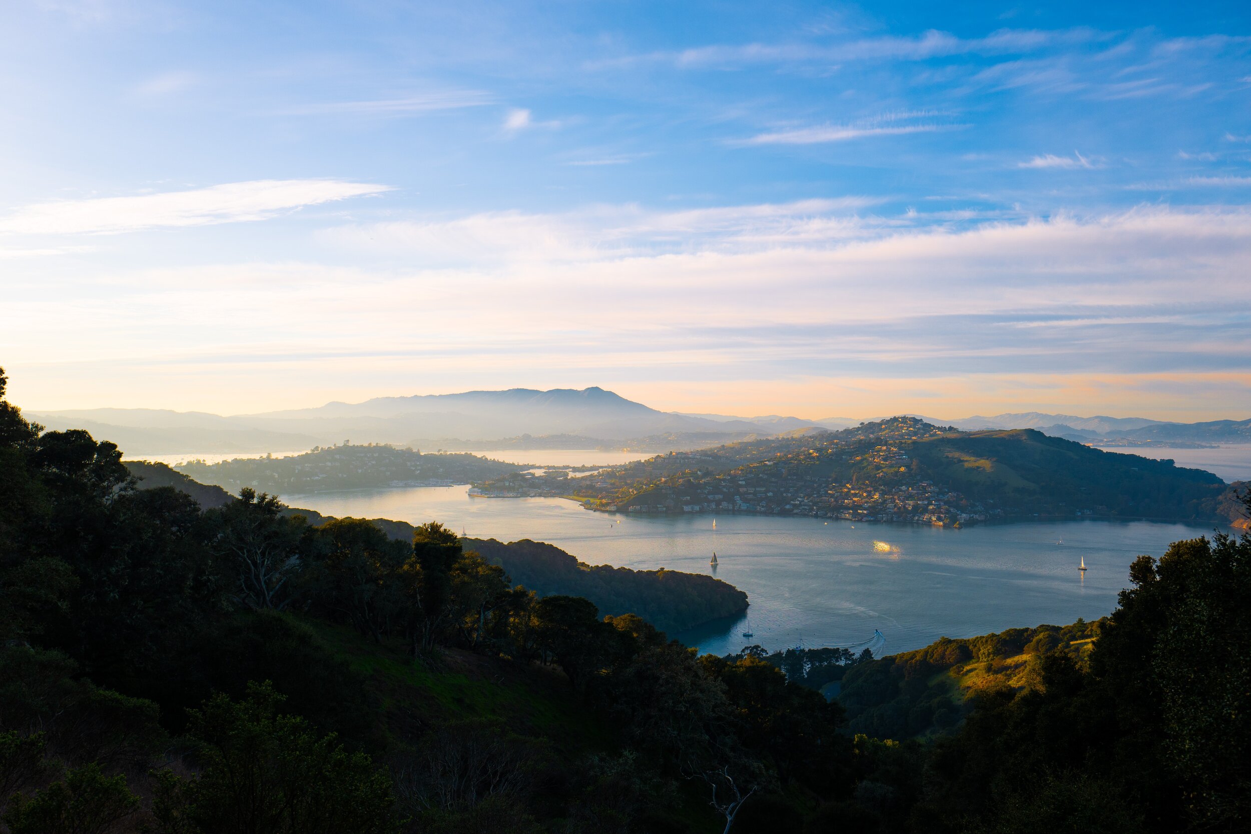 Brooke Halsey Law Office in Tiburon, CA (3)