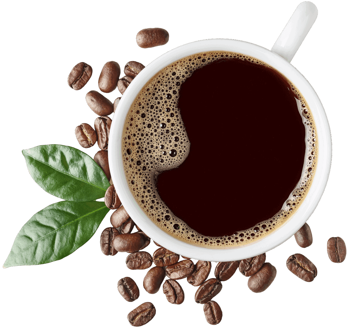 Flor de Café International Coffee Company in San Antonio, TX