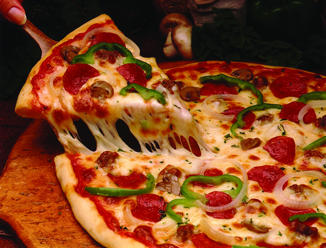 Paradise Jamaican Restaurant and Pizza in Apopka, FL
