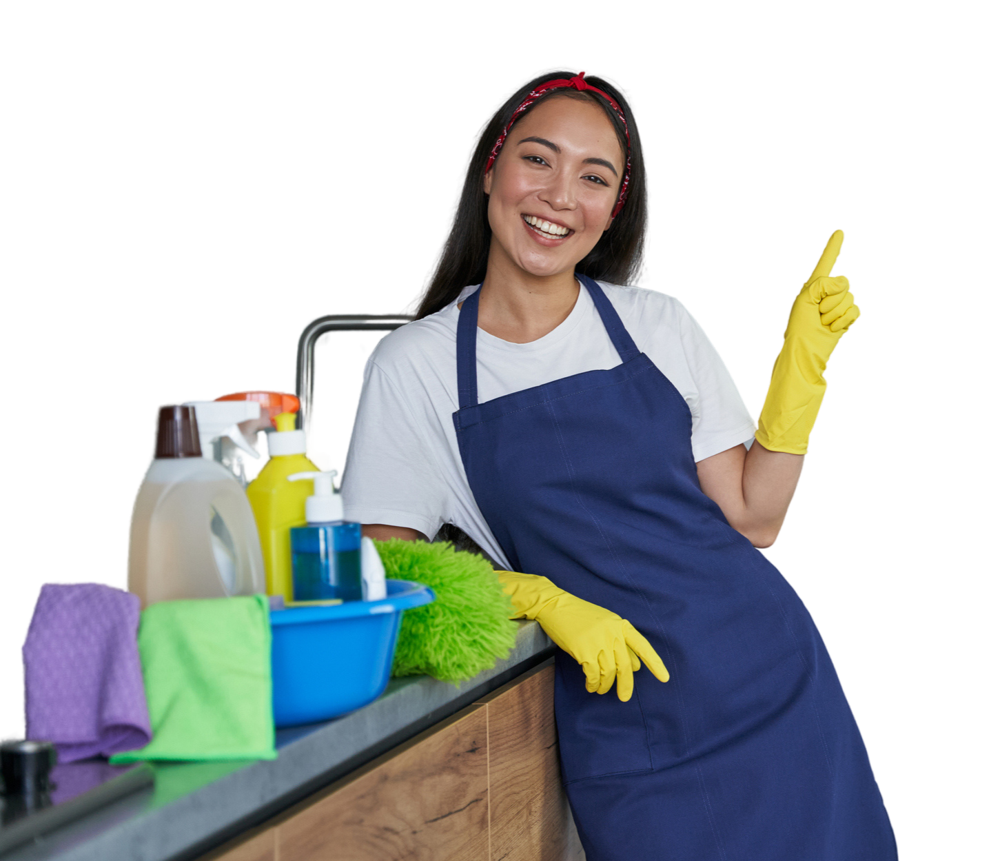 Iowa Colony Cleaning Services in Bellaire, TX