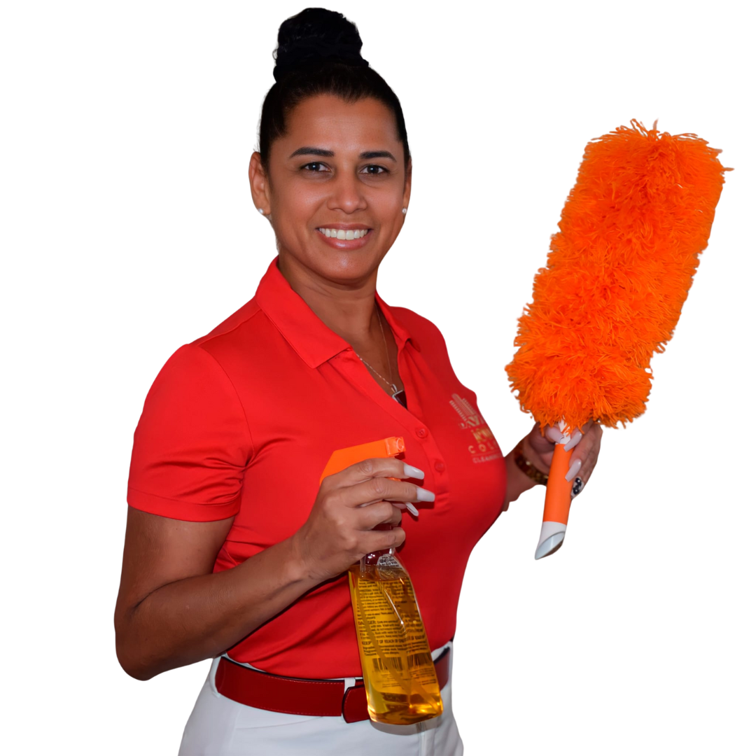 Iowa Colony Cleaning Services in Bellaire, TX (2)