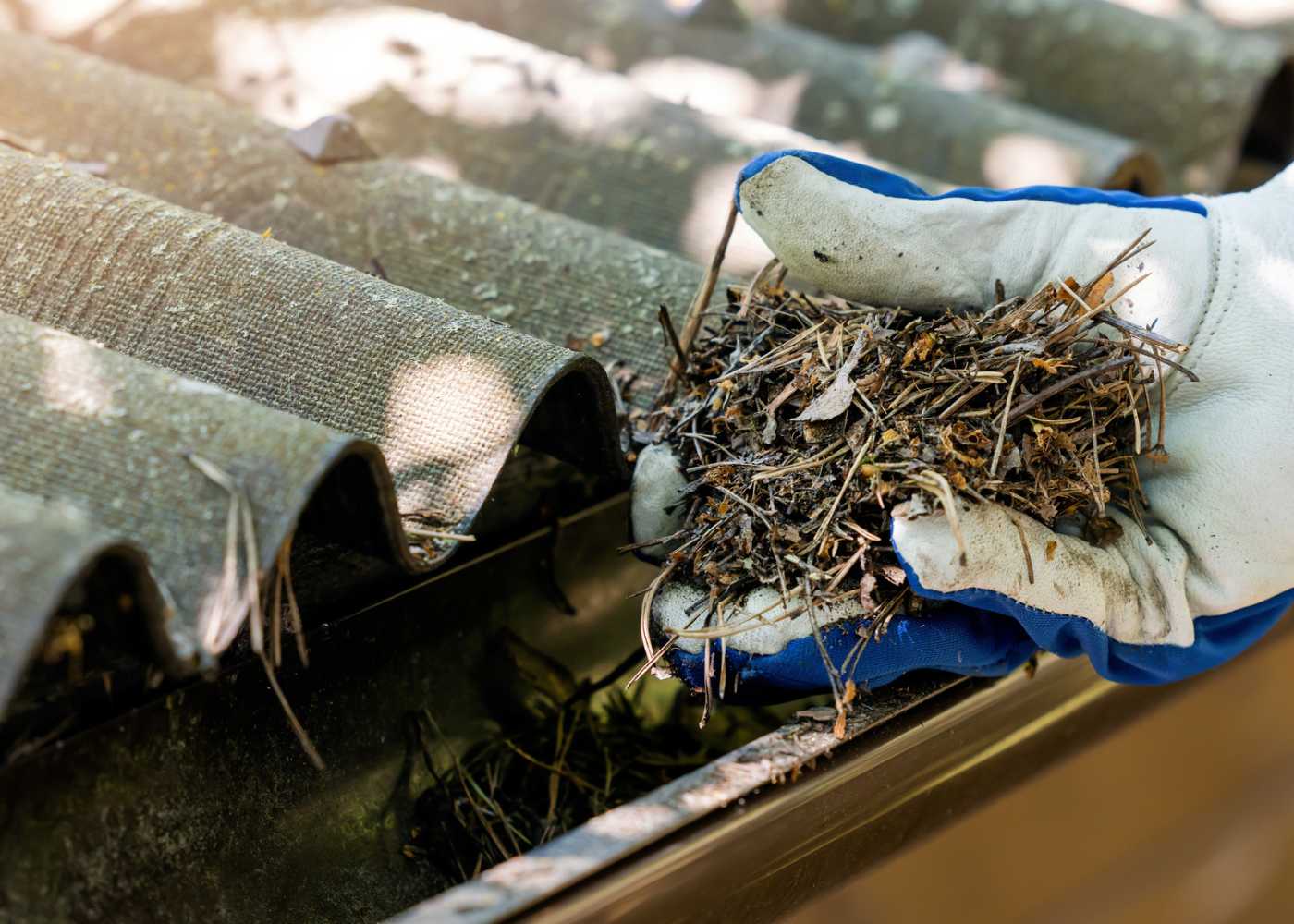 Iowa Colony Cleaning Services in Bellaire, TX (4)