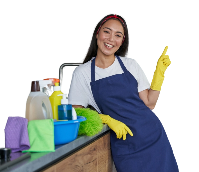 Iowa Colony Cleaning Services in Bellaire, TX (5)