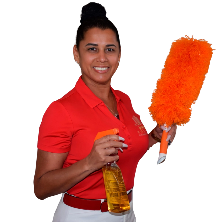 Iowa Colony Cleaning Services in Bellaire, TX (6)
