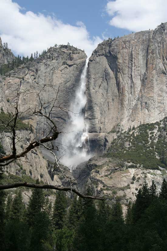 Eric Leach, REALTOR-Broker | NextHome Mammoth Lakes in Mammoth Lakes, CA (5)