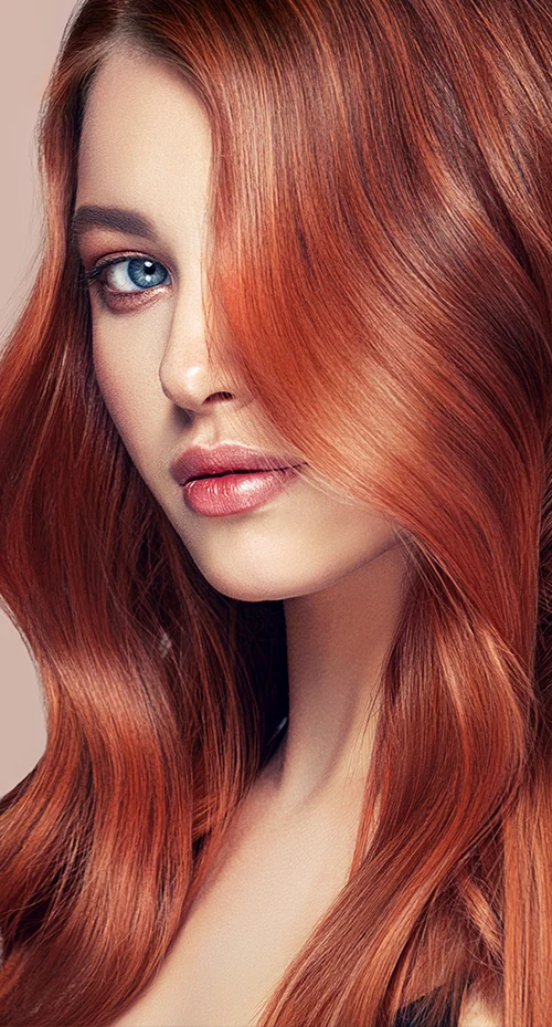 Dream Salon in Falls Church, VA (4)