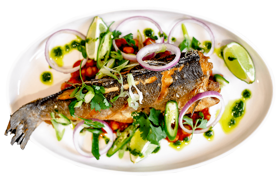 Tribu in Bloomfield Township, MI (2)