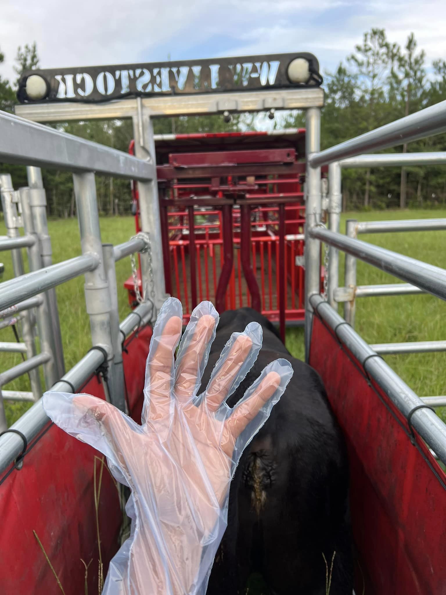 Mack Haymaker Cattle Co. in Auburn, AL (4)