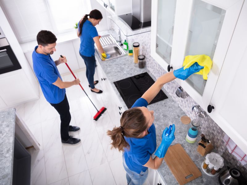 Blue cleaning service in Bodega, CA (4)