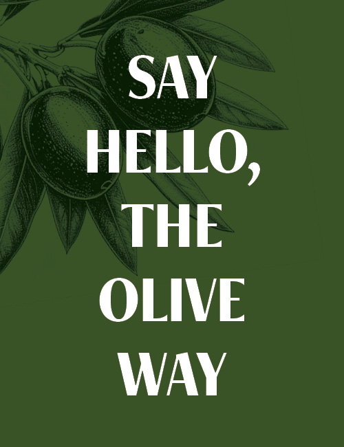 The Olive Brunch Restaurant and Cafe - Niles in Niles, IL (4)