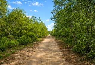 Grounded Land Co, LLC in Sanford, NC (4)