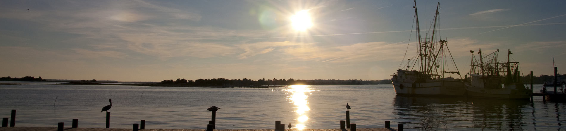 The Christi Hill Real Estate Team in Jacksonville, NC (6)
