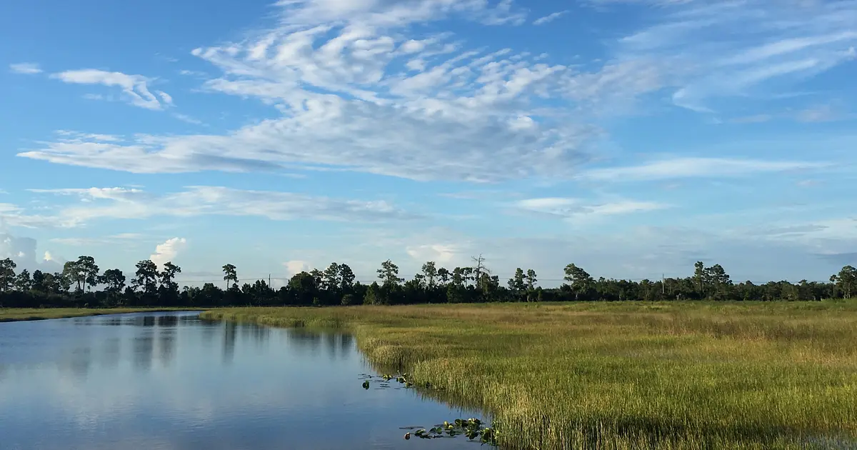 Hornthal Riley Ellis & Maland LLP in Nags Head, NC (5)