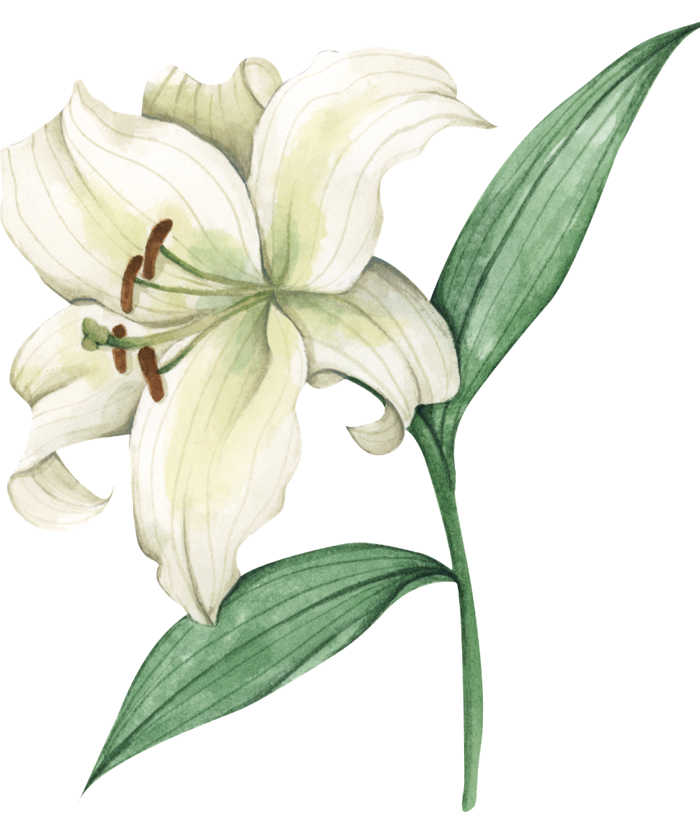Bloom Within Counseling, PLLC in Vancourt, TX