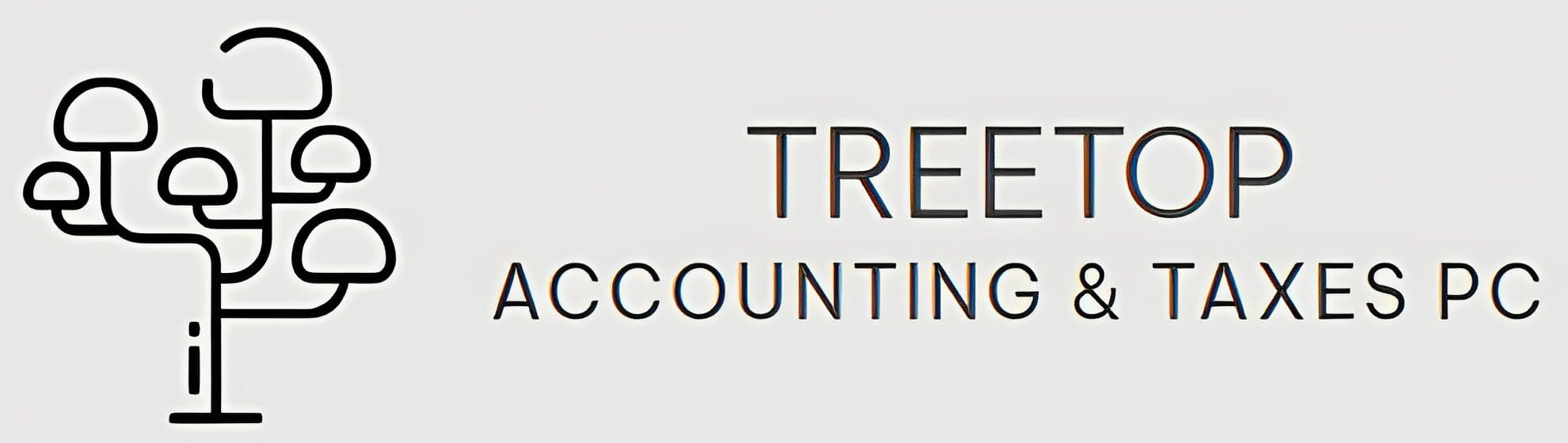 Treetop Accounting & Taxes PC in Allentown, PA (4)
