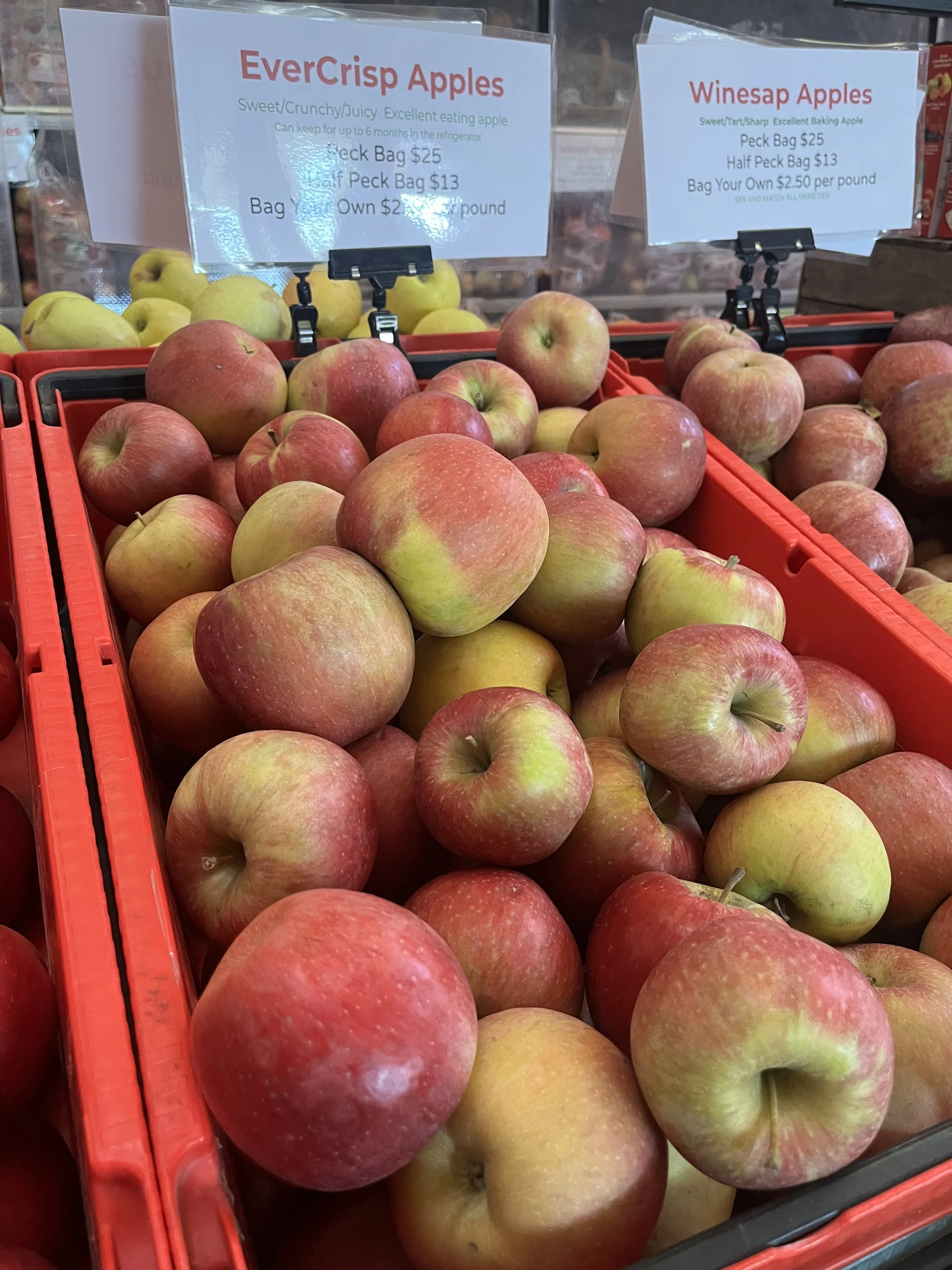 Branstool Orchards in Utica, OH (3)