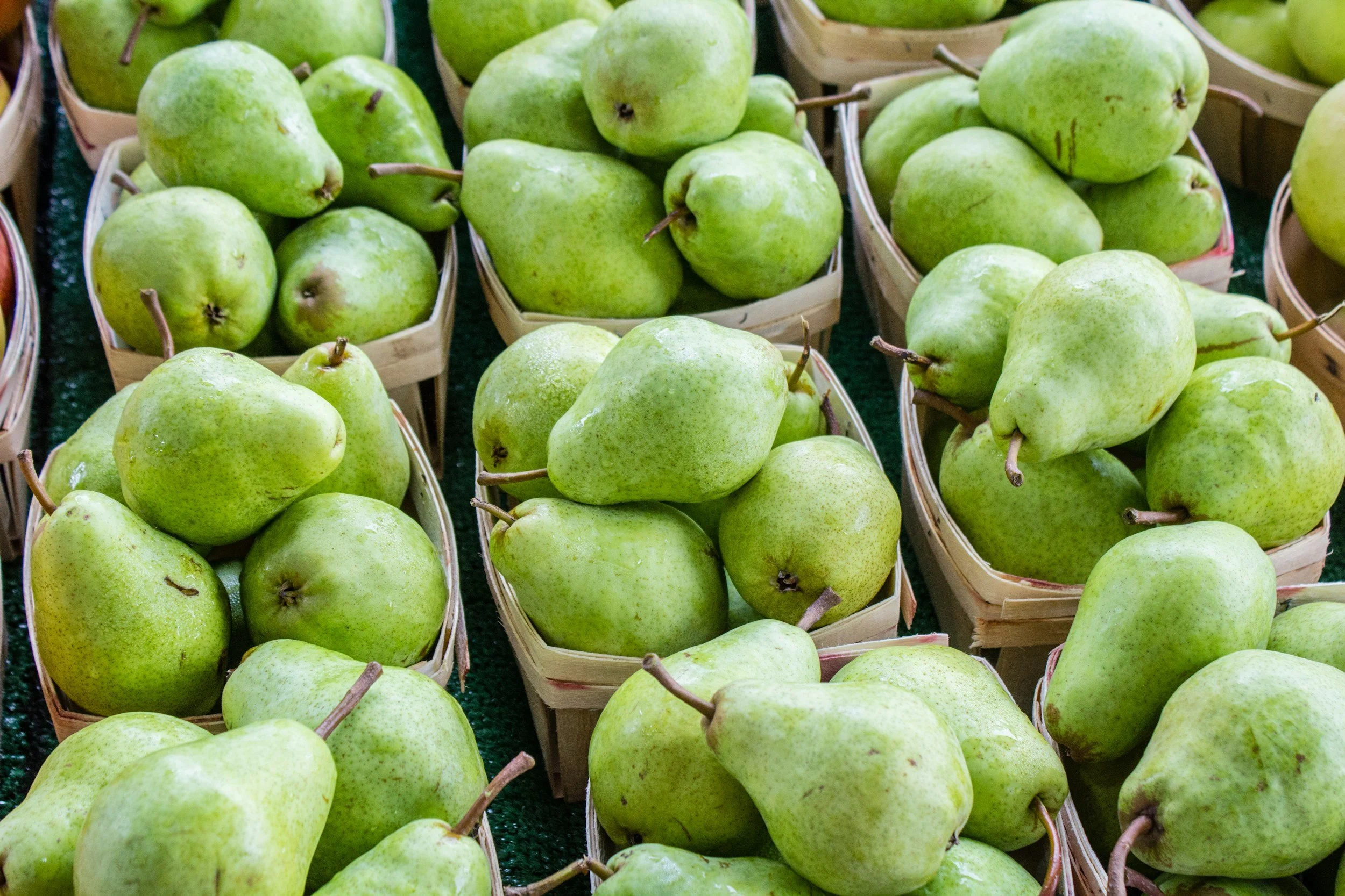 Branstool Orchards in Utica, OH (4)
