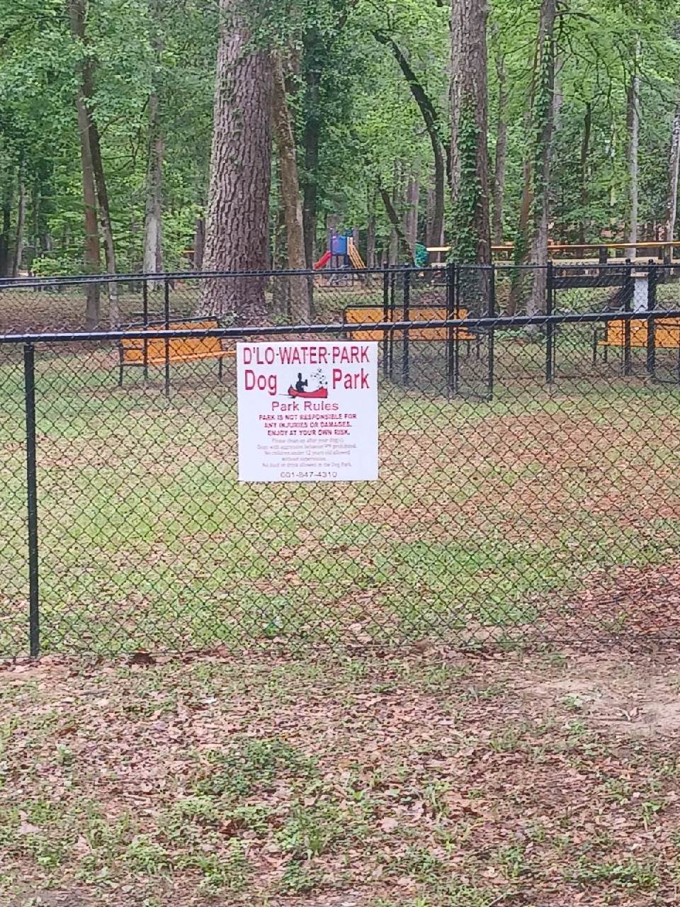 D'Lo Water Park in Mendenhall, MS (2)