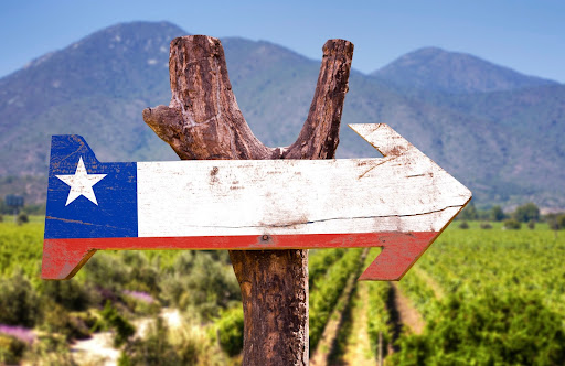 Make Wine With Us in Wallington, NJ (6)