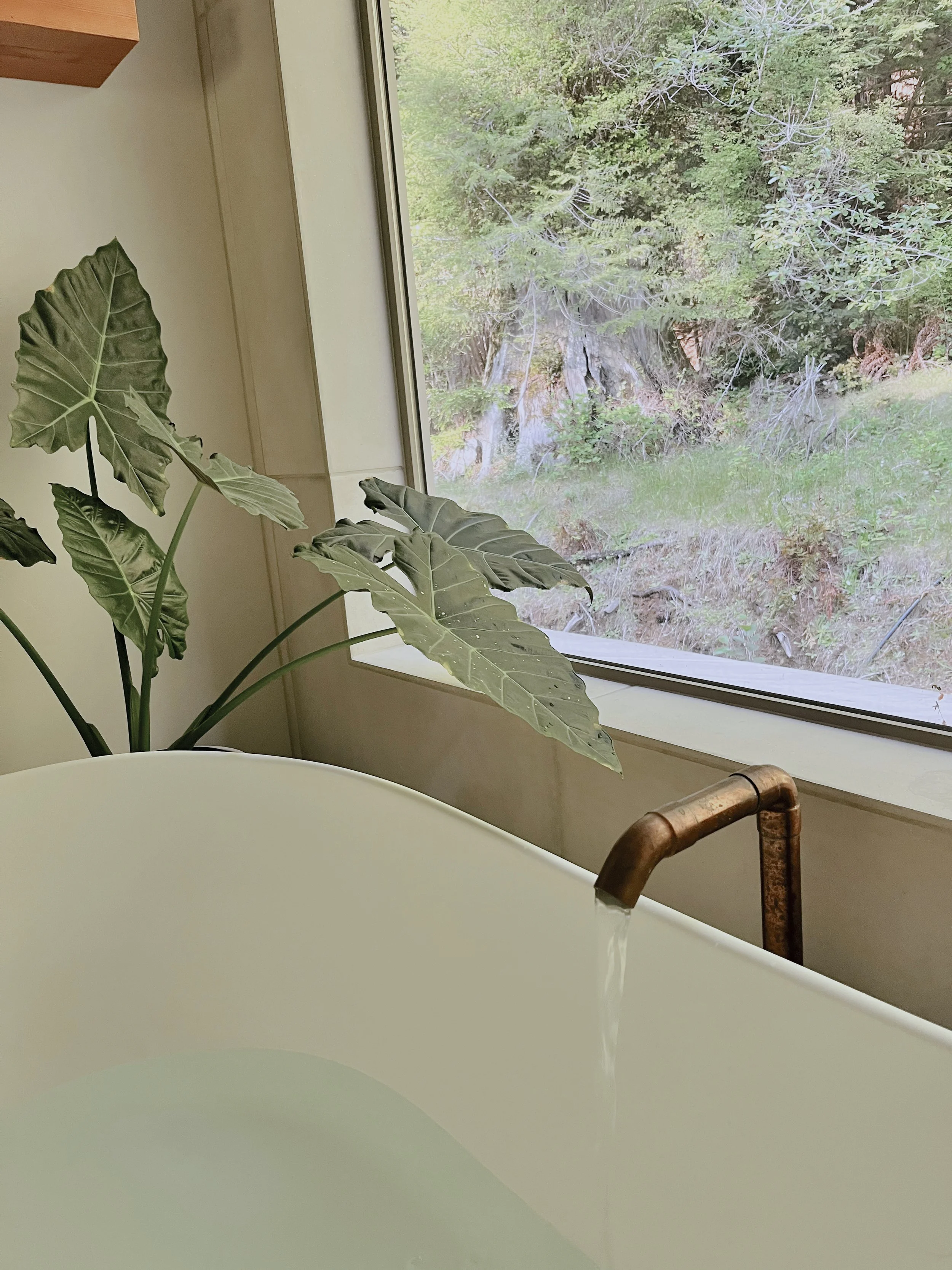 Elemental Real Estate + Design Shop in Arcata, CA (4)