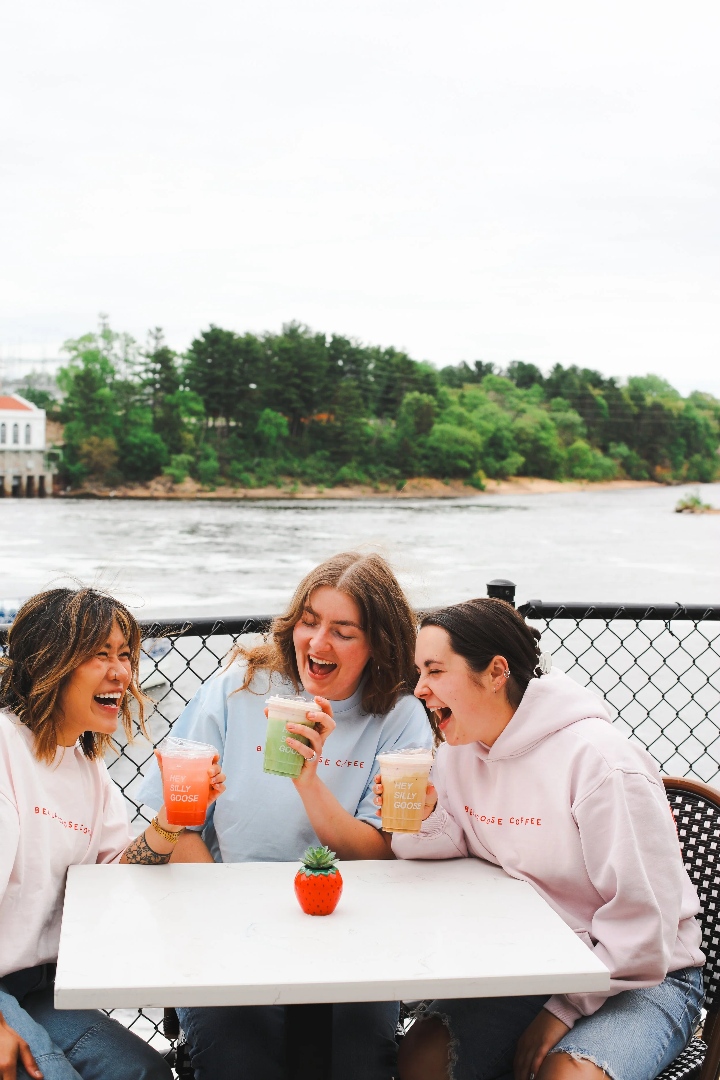 Bella Goose Coffee - Cafe on the River in Wisconsin Dells, WI (2)