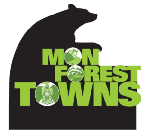 Elkins Randolph County Tourism, Convention and Visitors Bureau in Elkins, WV (4)