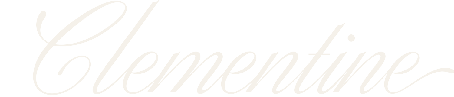 Clementine Events and Catering in Masonic Home, KY (2)