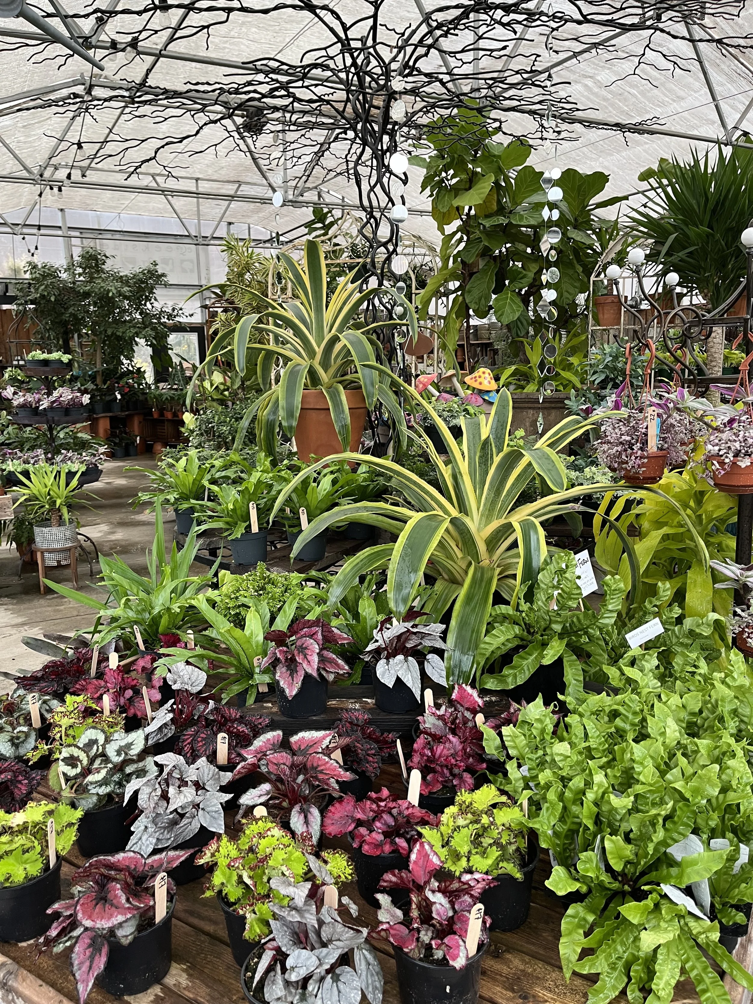 Creekside Gardens in Tunkhannock, PA (2)