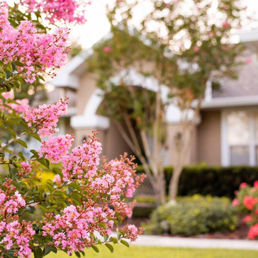 Miranda Stripling Realtor NSB, Edgewater, Local Expert in New Smyrna Beach, FL