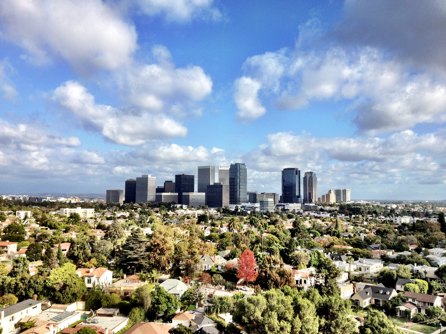Brian Shuhaibar / Brian S. Realtor in Buena Park, CA (3)