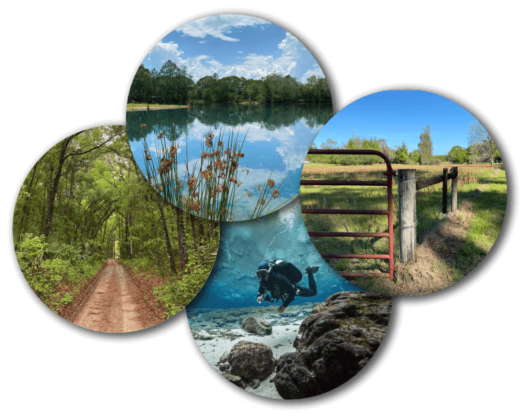 Brenda Thornton Realtor in Starke, FL (4)