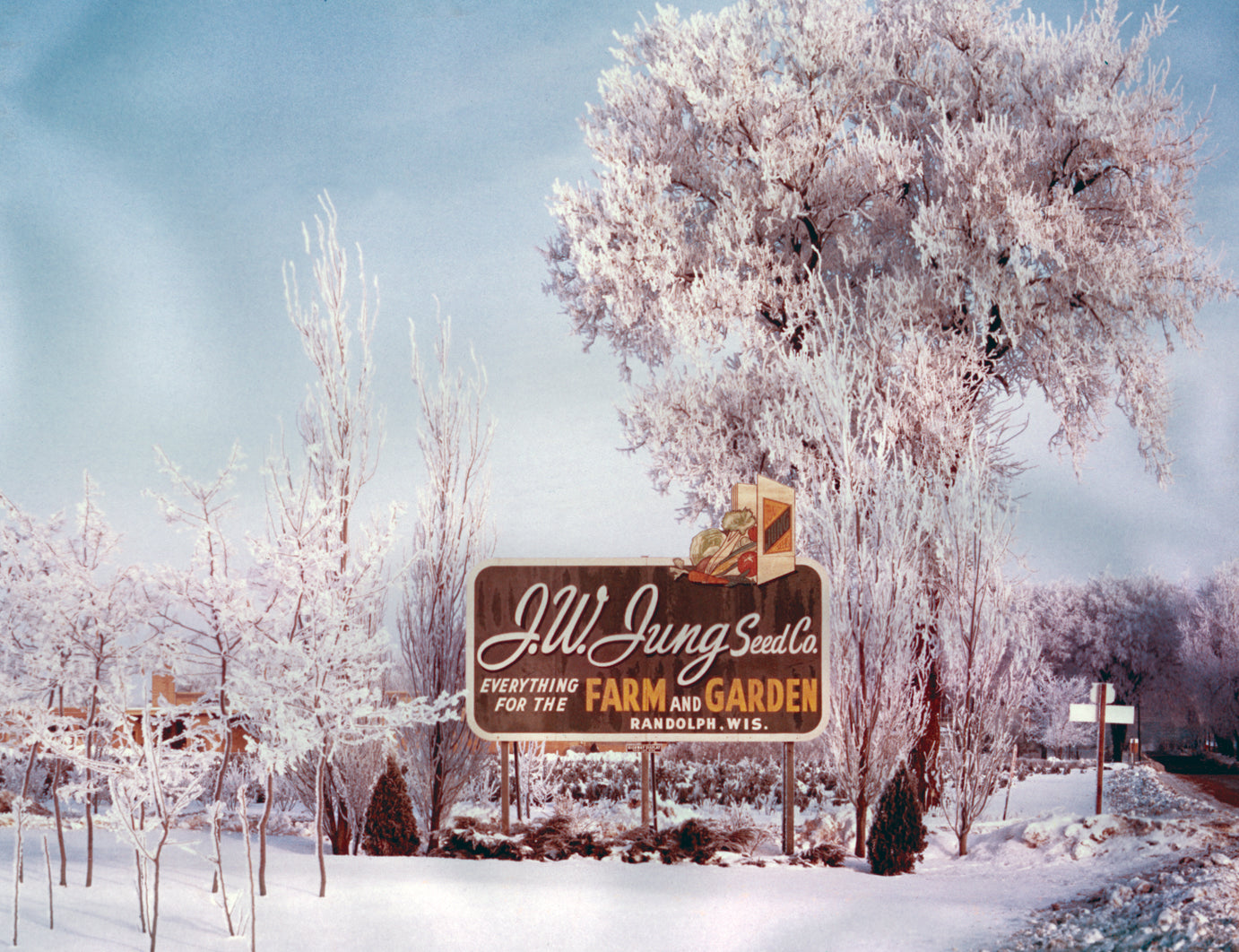 Jung Garden Center in Randolph, WI (6)