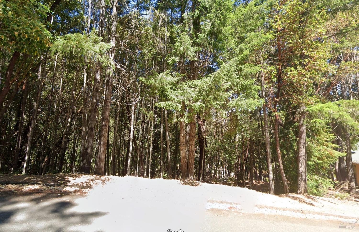 Shoreline Properties in Fort Bragg, CA (6)