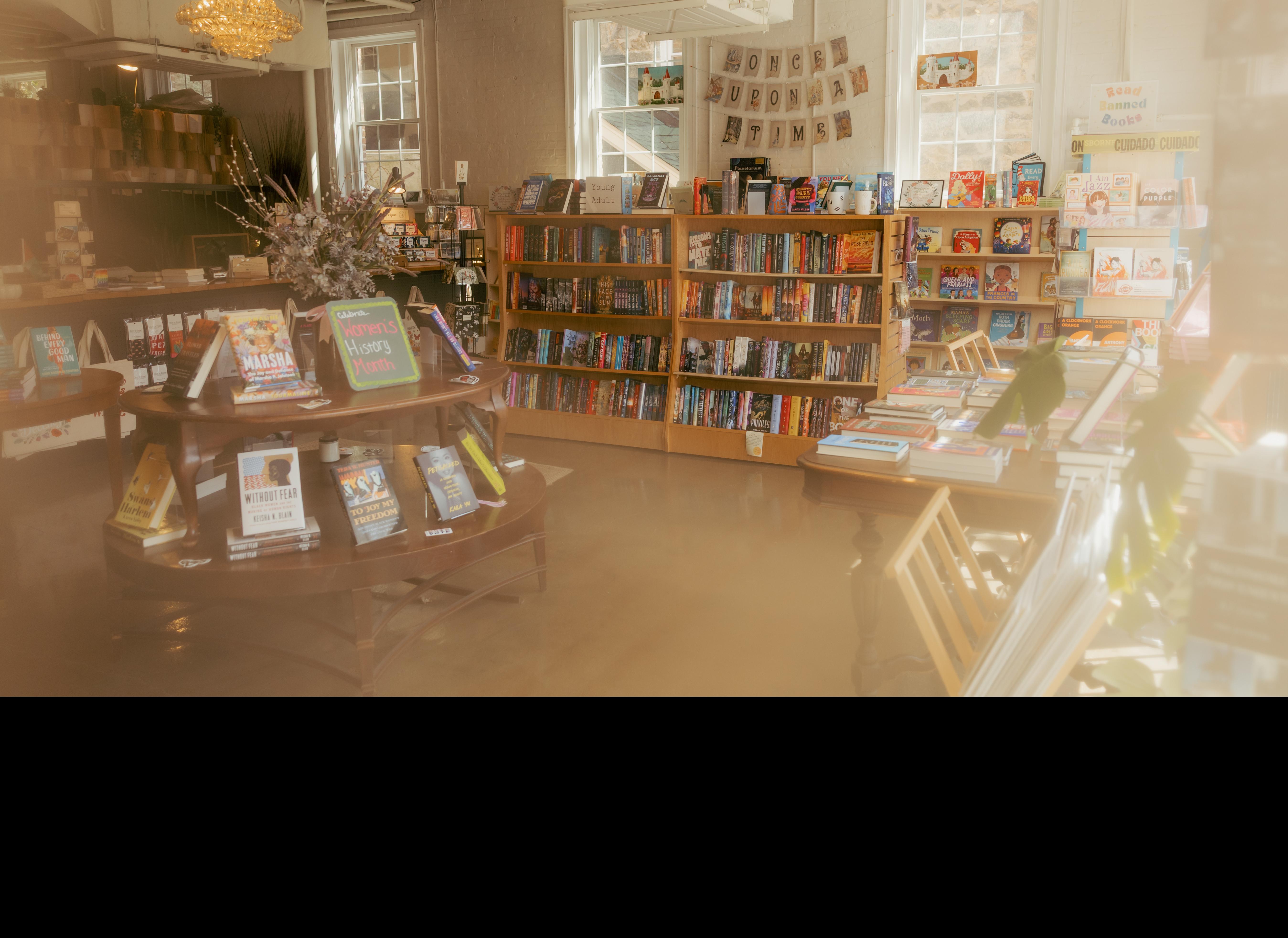 Backwater Books & Bibliopub in Ellicott City, MD (2)
