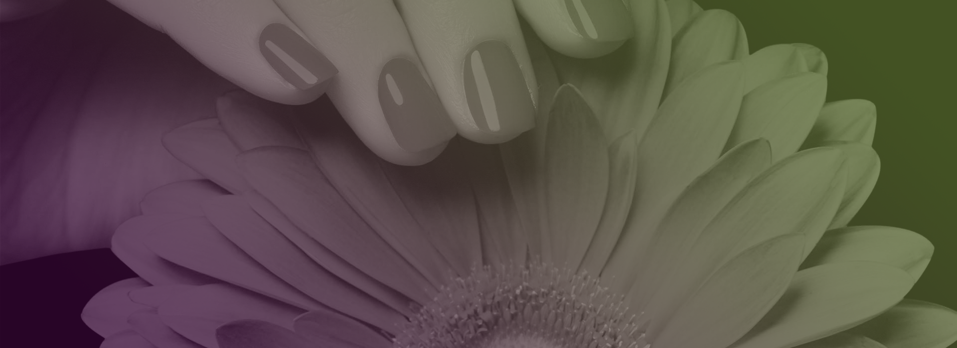 Olivia Nail Bar in Moraga, CA (2)