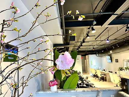 Ivey Nails and Spa in Washington, DC (3)