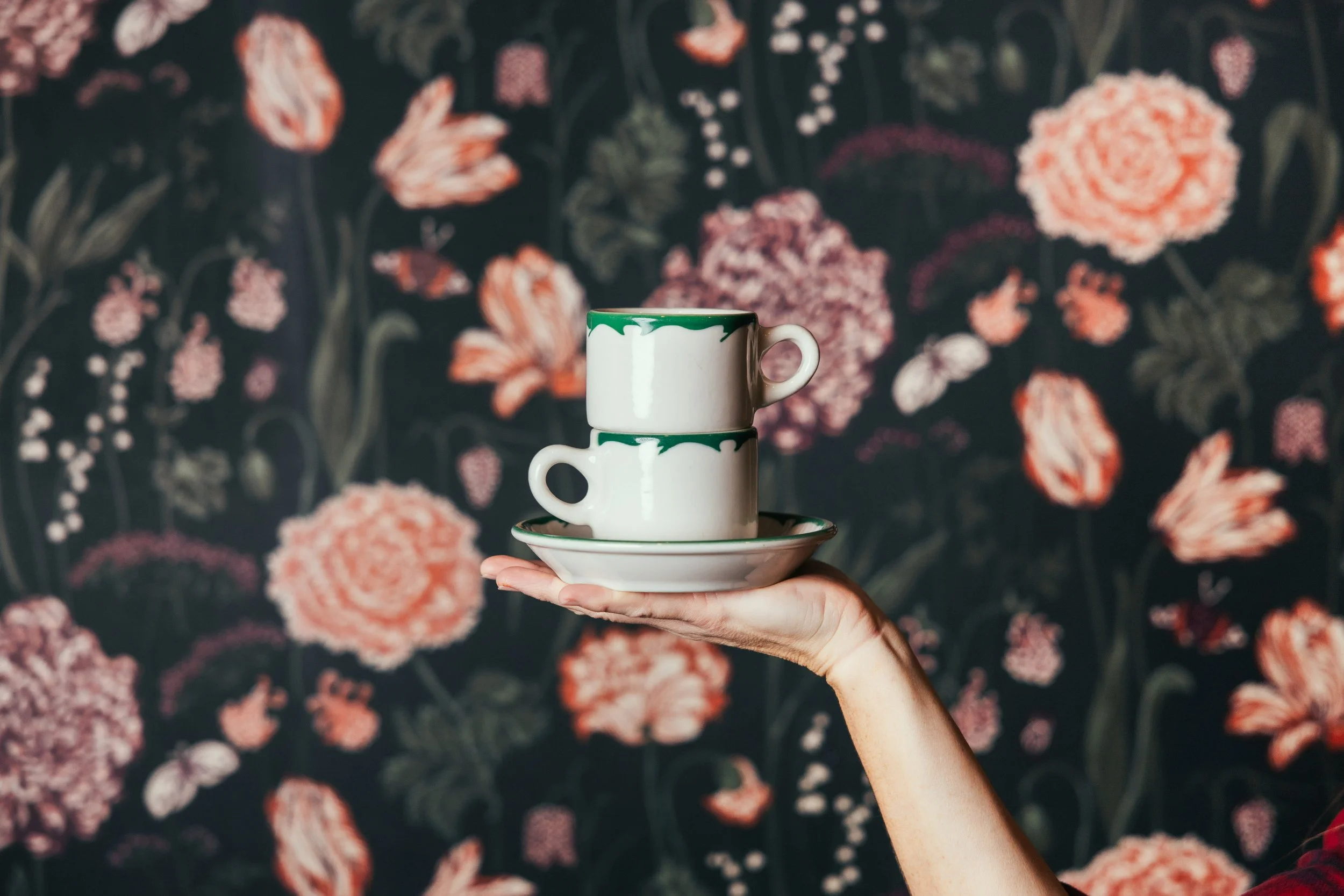 CUP & SAUCER in Brevard, NC