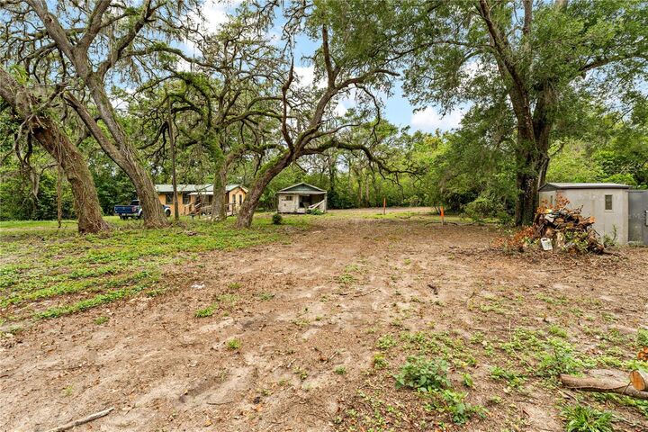Tiffany Bingham, BINGHAM REALTY, INC. in Zephyrhills, FL (3)