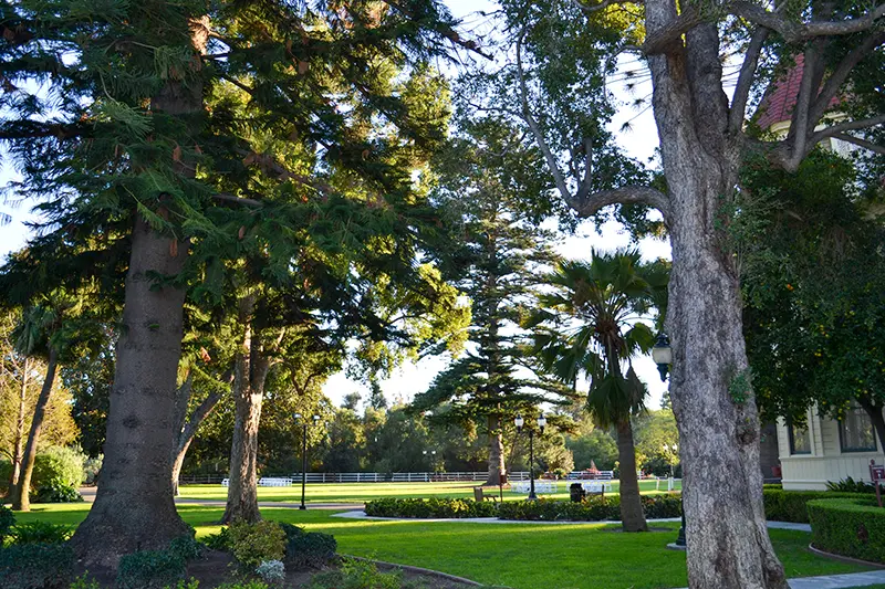Camarillo Ranch in Camarillo, CA (4)