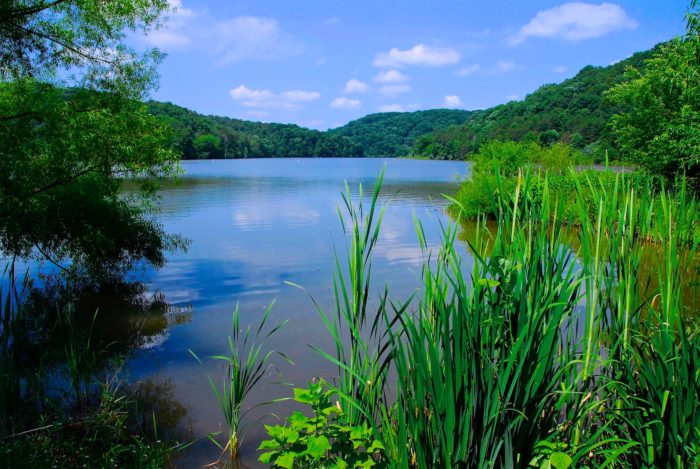 Berkeley Springs State Park in Berkeley Springs, WV (5)