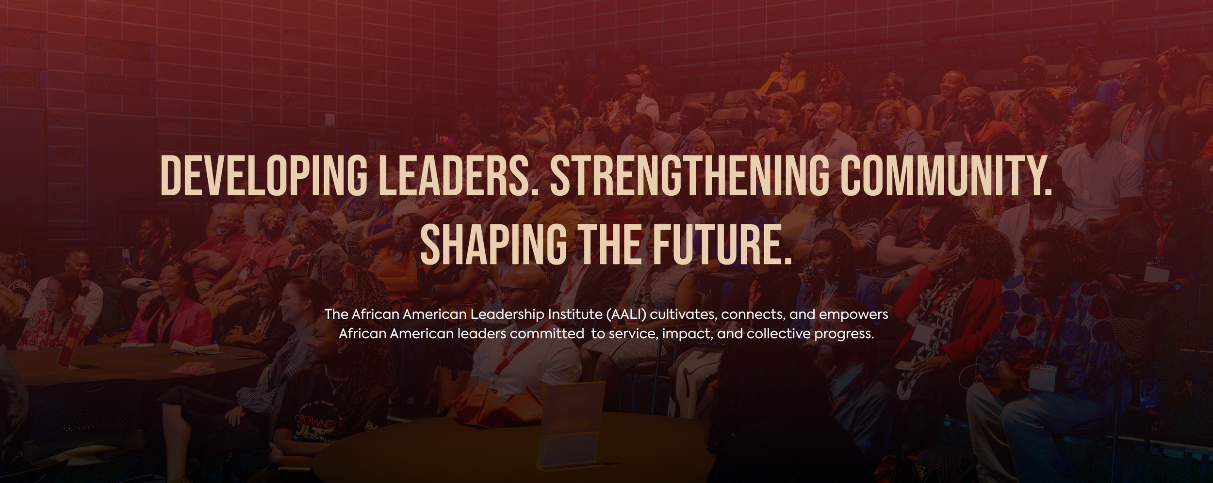African American Leadership Institute in Austin, TX