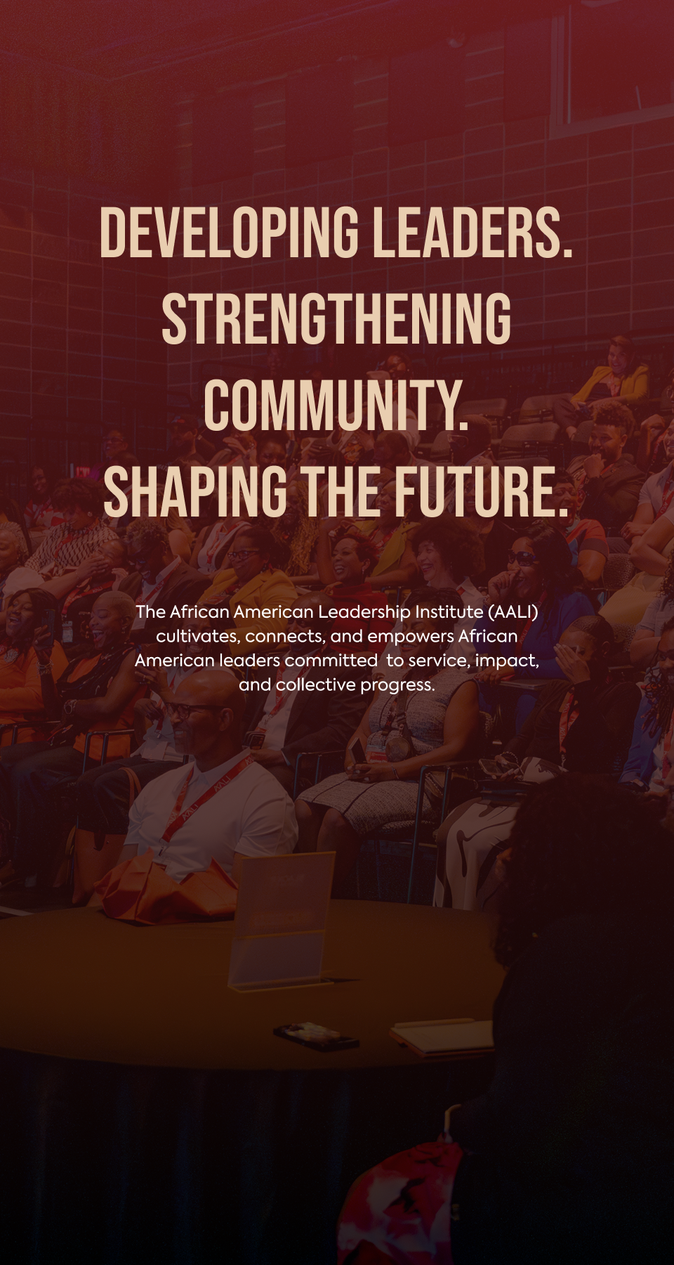 African American Leadership Institute in Austin, TX (2)