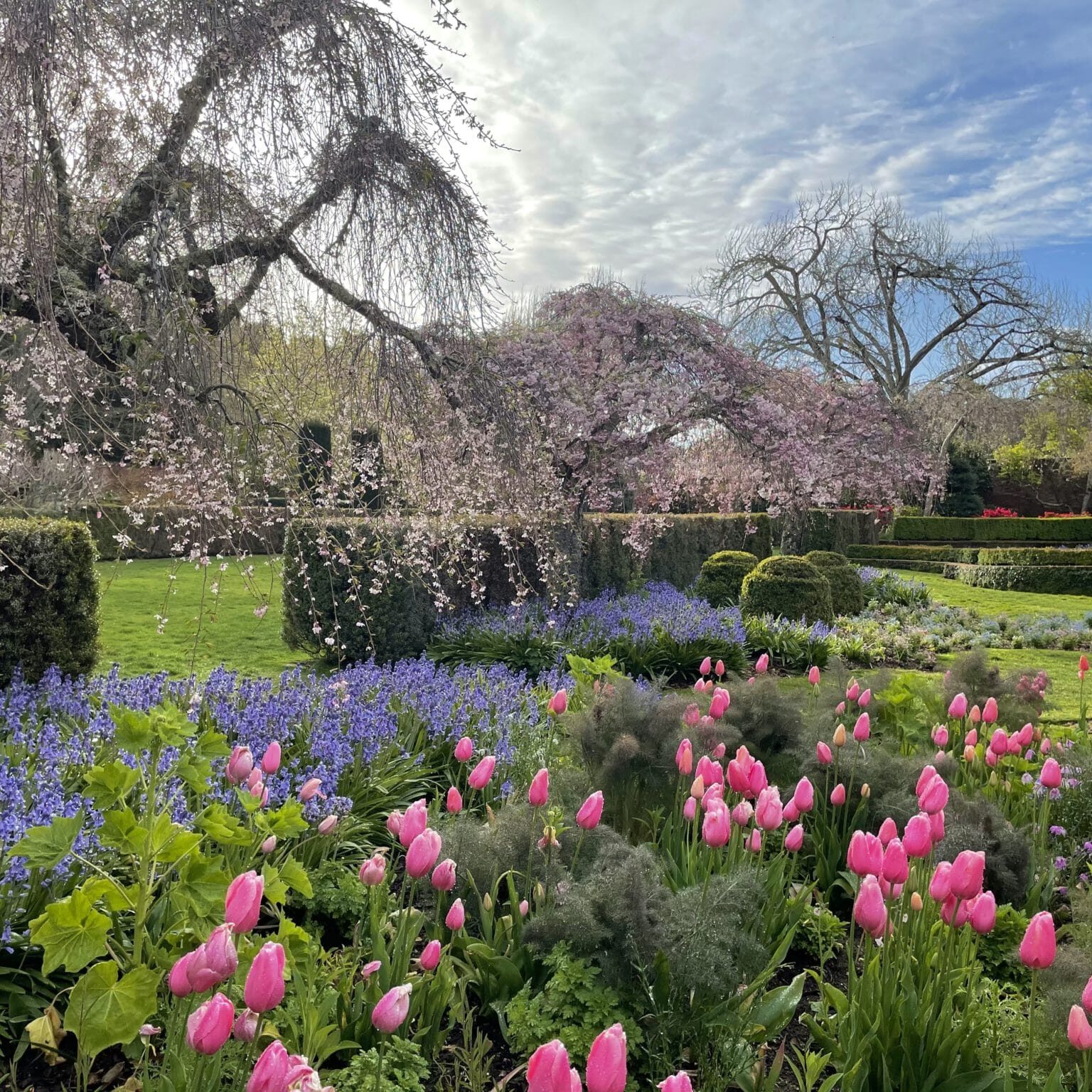 Filoli Historic House & World-Class Garden in Woodside, CA (4)